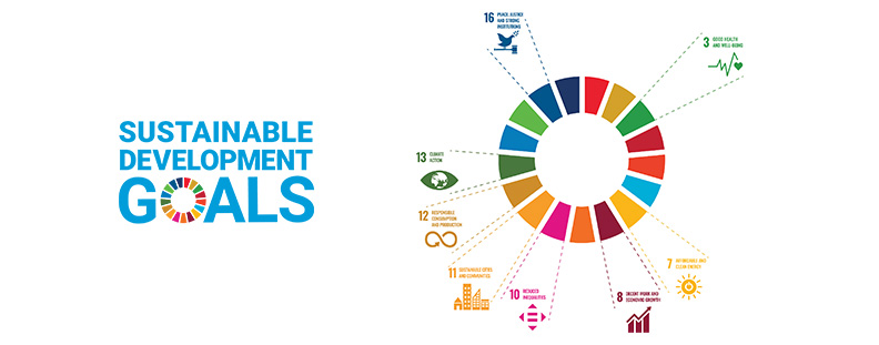 Sustainable Development Goals